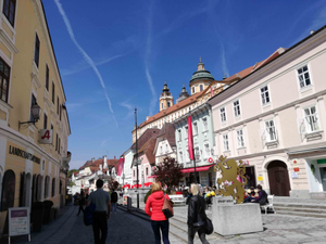 Mi experiencia Erasmus en Viena – Laura