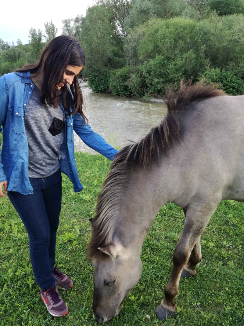 My Erasmus Experience in Vienna – Laura