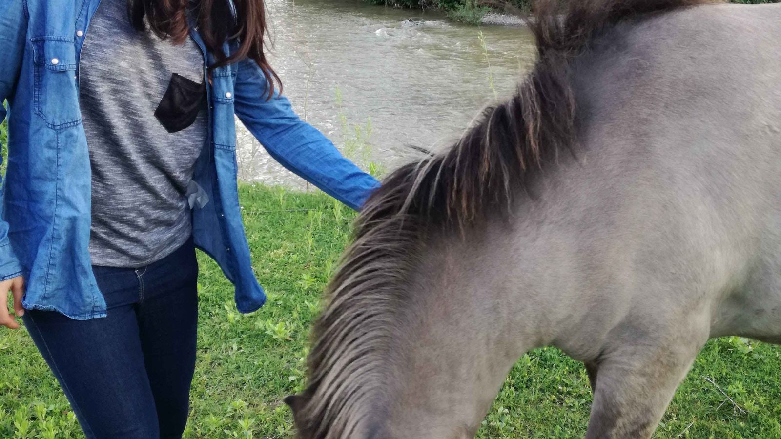 Mi experiencia Erasmus en Viena – Laura